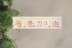 乐鱼官网-海港也算是把政策用到极致！有五外援 有港澳台 还有归化球员